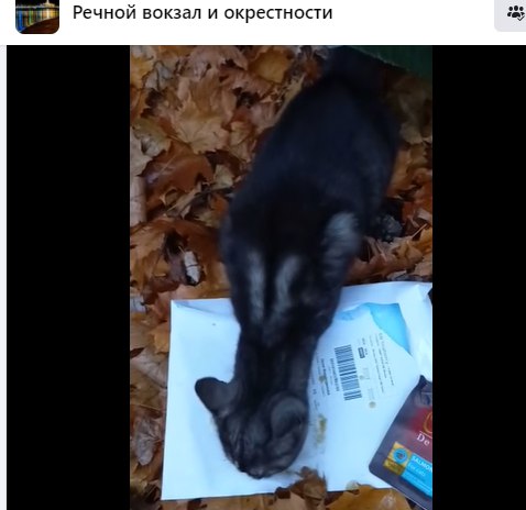Потеряшка с Фестивальной громко пожаловалась людям на жизнь